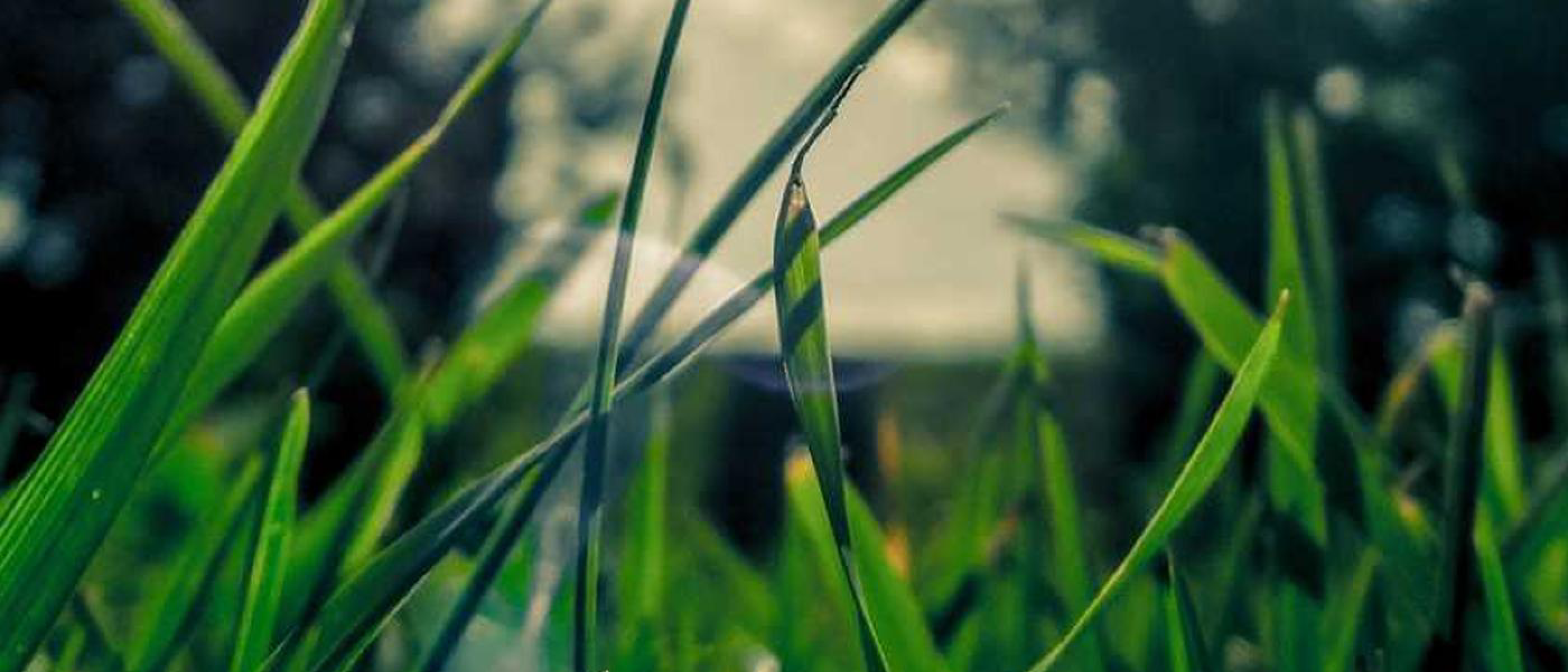 Computer and Society